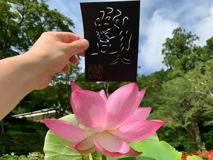 普門寺(切り絵御朱印発祥の寺)(愛知県)