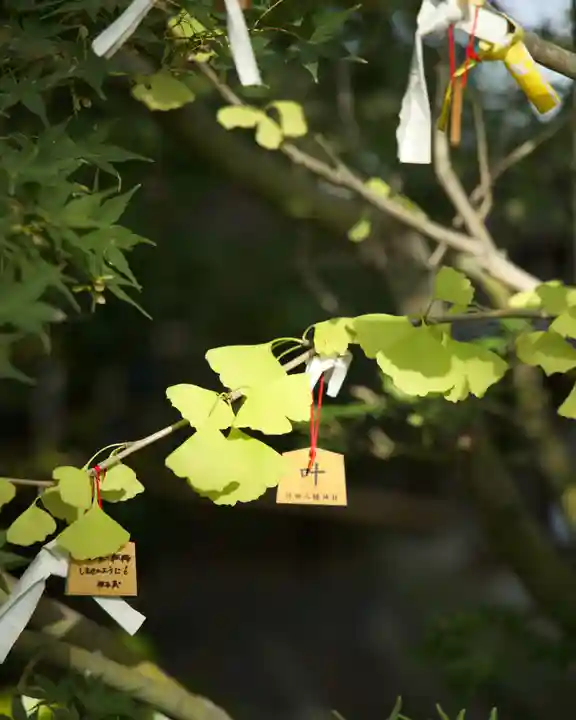 行田八幡神社(埼玉県)