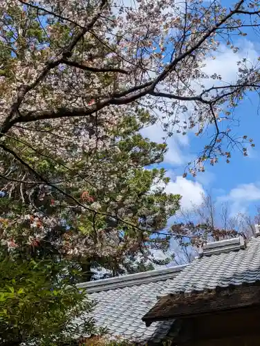 青蓮院門跡(京都府)