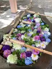 千歳神社の手水