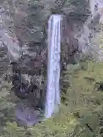 禪通寺(岐阜県)