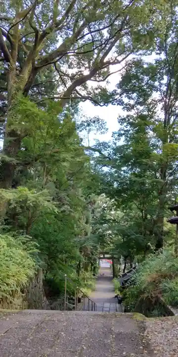 椎尾神社(大阪府)