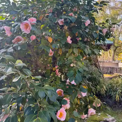 伊勢の国 四天王寺(三重県)