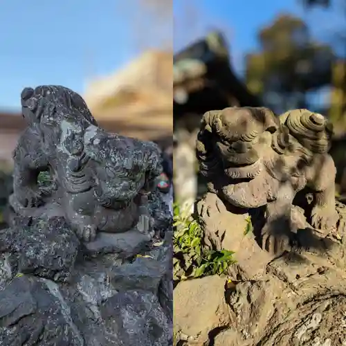 菊田神社の狛犬