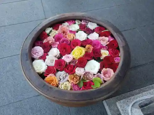 法盛寺の手水舎