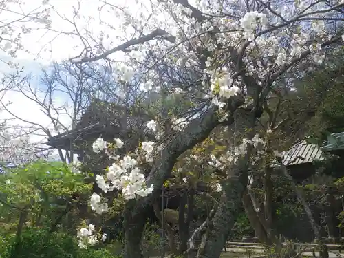 英勝寺のその他建物