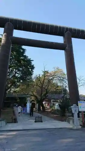 大宝八幡宮の鳥居