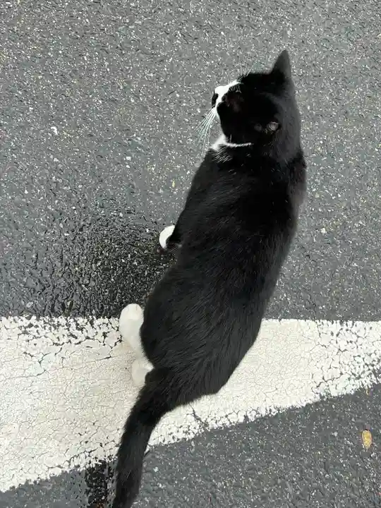唐澤山神社(栃木県)