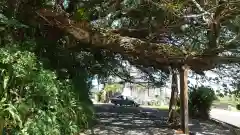 野島神社の建物その他