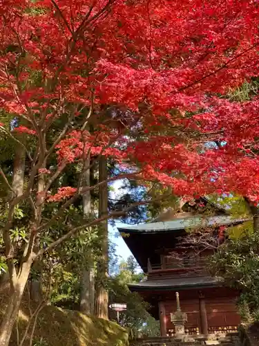 比叡山延暦寺の自然