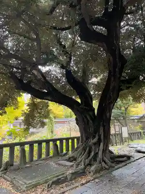 湯島聖堂(東京都)