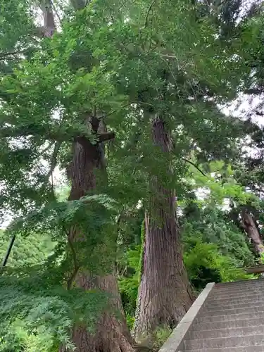 田間神社の自然