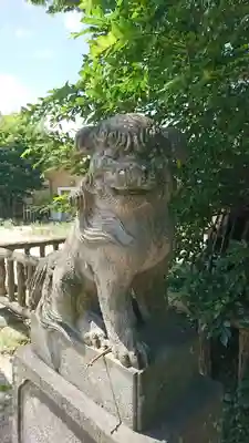 豊田神社の狛犬