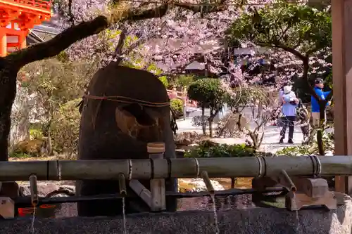 賀茂別雷神社（上賀茂神社）(京都府)