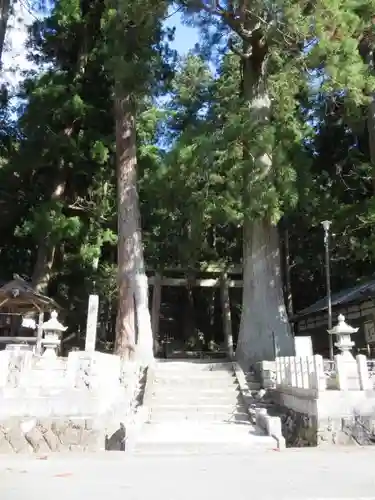 室生龍穴神社の自然