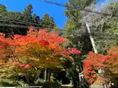 八幡神社(奈良県)