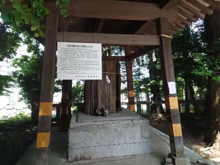 愛宕神社のその他建物