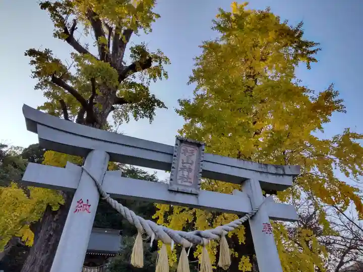 杉山神社の鳥居