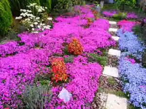 寿量山 速成寺(奈良県)(2023年04月06日(木) 18時11分43秒投稿)