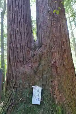 若狭彦神社（上社）(福井県)