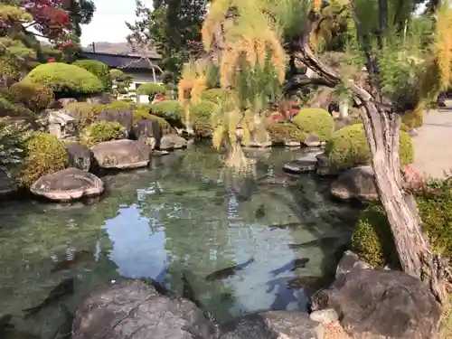 甲斐善光寺の庭園