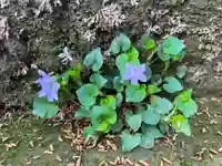 大宮温泉神社の自然