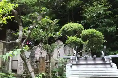 南陽院(奈良県)