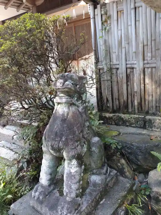 宇治神社の狛犬