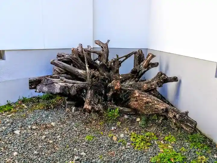 祇園山 徳城寺の自然