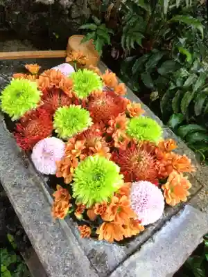 本郷氷川神社(東京都)
