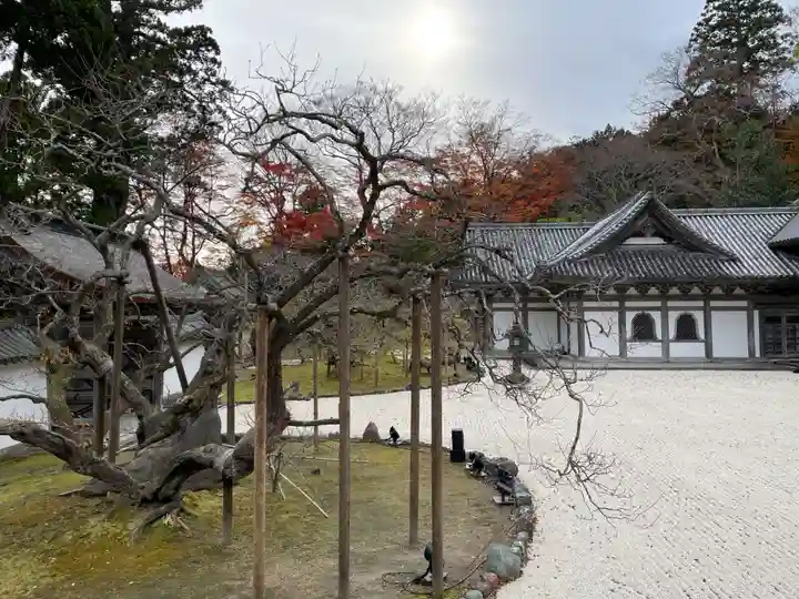 瑞巌寺(宮城県)