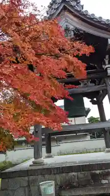 妙満寺(京都府)