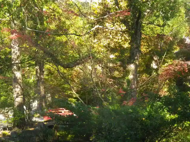 鶴岡八幡宮の自然