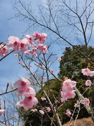 茨城縣護國神社の御朱印