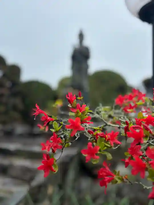 西福寺(兵庫県)