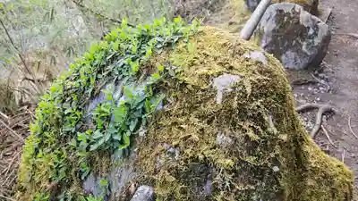 慈雲寺(並び地蔵 化け地蔵)(栃木県)