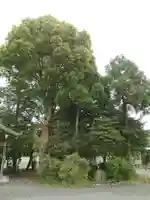 佐藤八幡社のその他建物