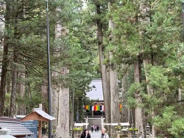 高野山金剛峯寺奥の院(和歌山県)