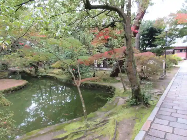 唐招提寺の庭園