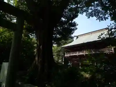 東昌寺(茨城県)