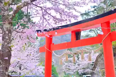 金櫻神社(山梨県)