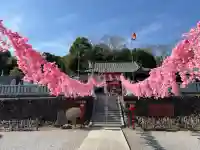 寺岡山元三大師の{uncategorized: "未分類", other: "その他", undefined: "問題あり", building: "その他建物", grave: "お墓", sacred_gate: "鳥居", guardian: "狛犬", statue: "像", buddha: "仏像", history: "歴史", nature: "自然", garden: "庭園", animal: "動物", pagoda: "塔", temizu: "手水舎", mountain_gate: "山門・神門", sanctuary: "本殿・本堂", subordinate: "末社・摂社", art: "芸術", scenery: "景色", jizo: "地蔵", ema: "絵馬", goshuin: "御朱印", omikuji: "おみくじ", items: "授与品その他", amulet: "お守り", goshuincho: "御朱印帳", eats: "食事", festival: "お祭り", votive_dance: "神楽", shichigosan: "七五三参", wedding: "結婚式", experience: "体験その他", initially: "初詣", around: "周辺", anti_infection: "感染症対策"}