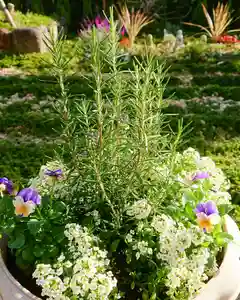 寿量山 速成寺の庭園(2019年11月02日(土) 13時11分25秒投稿)