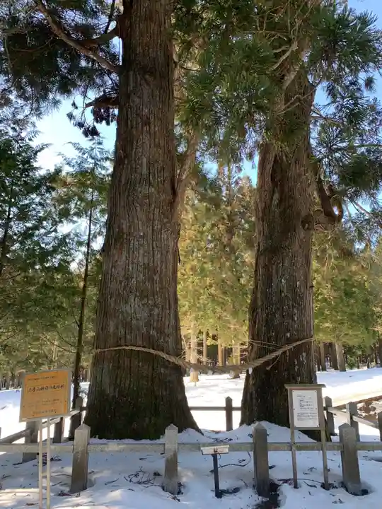 岩手山神社の自然