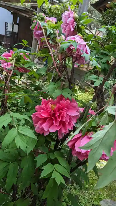 雨宝院(京都府)