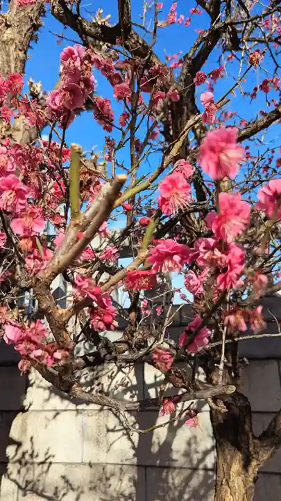 大國神社の自然