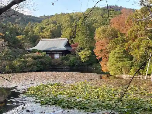 龍安寺(京都府)