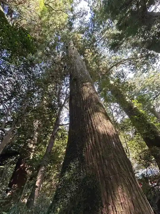 箱根神社(神奈川県)