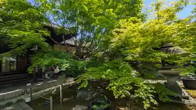 勝林寺(京都府)