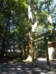 久具都比賣神社（皇大神宮摂社）の鳥居